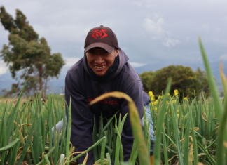 El gobierno de Daniel Noboa anunció la entrega del Bono Raíces, una compensación económica destinada a familias rurales de los sectores agrícola y pecuario, como medida frente al reciente fin del subsidio al diésel en Ecuador.