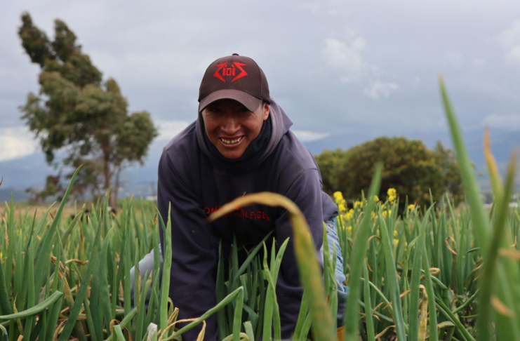 El gobierno de Daniel Noboa anunció la entrega del Bono Raíces, una compensación económica destinada a familias rurales de los sectores agrícola y pecuario, como medida frente al reciente fin del subsidio al diésel en Ecuador.