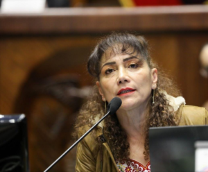 El Tribunal Contencioso Electoral (TCE) emitió una resolución este 18 de septiembre, contra la asambleísta de la Revolución Ciudadana, Patricia Núñez, tras una denuncia presentada por el exconsejero del Consejo de Participación Ciudadana y Control Social (Cpccs), Juan Esteban Guarderas. La decisión fue tomada por el juez electoral Joaquín Viteri.