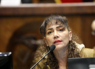 El Tribunal Contencioso Electoral (TCE) emitió una resolución este 18 de septiembre, contra la asambleísta de la Revolución Ciudadana, Patricia Núñez, tras una denuncia presentada por el exconsejero del Consejo de Participación Ciudadana y Control Social (Cpccs), Juan Esteban Guarderas. La decisión fue tomada por el juez electoral Joaquín Viteri.