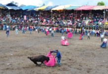 El cantón Guano vivió el 27 de septiembre una jornada de fe y tradición en el marco de las Fiestas en Honor a la Virgen de las Mercedes. Desde las 14h00 se realizó la Primera Gran Corrida de Toros con ejemplares de la ganadería Señor de la Buena Muerte, evento que fue acompañado por actividades religiosas, deportivas y culturales.