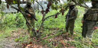 En el marco de las operaciones de control de armas, municiones y explosivos, personal del Ejército Ecuatoriano realizó este 3 de septiembre, un operativo en el cantón Las Naves, provincia de Bolívar, que permitió el decomiso de dos armas de fuego y municiones.