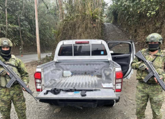 Un arma de fuego y diez cartuchos fueron decomisados en la vía E35, a la altura del cantón Cumandá, durante un operativo militar ejecutado por el Ejército Ecuatoriano en el marco de las operaciones de Control de Armas, Municiones y Explosivos (CAMEX).