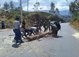La tensión que se vivía en las carreteras de la Sierra Central tuvo una respuesta por parte del personal de la Brigada de Caballería Blindada N.º 11 Galápagos del Ejército Ecuatoriano, que se desplegó en varios cantones de Chimborazo y Bolívar para retirar escombros, habilitar el paso vehicular y reforzar la seguridad tras los cierres temporales que mantenían en vilo a transportistas y moradores.