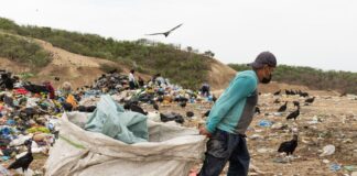 Según datos de la Organización Internacional del Trabajo (OIT), más de 20 millones de personas en el mundo se dedican al reciclaje de base, muchas veces en condiciones precarias, sin acceso a seguridad social ni reconocimiento formal.