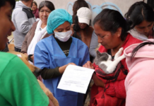 El 4 de octubre, Riobamba se sumó a una acción continental en favor del bienestar animal. A través del Centro de Rescate Integral Animal (CRIAR), el Municipio participó en la IV Jornada de Castración Masiva en América Latina, impulsada por la Organización Internacional CASTRALAT.