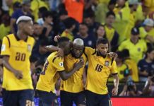 La Selección Ecuatoriana de Fútbol entra en una nueva etapa de preparación rumbo al Mundial 2026.