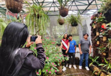 Ambato se prepara para vivir un feriado lleno de arte, música, patrimonio y naturaleza. La Tierra de la fruta y de las flores abre sus puertas a turistas nacionales y extranjeros con una agenda cultural diversa que refleja su identidad y tradición.